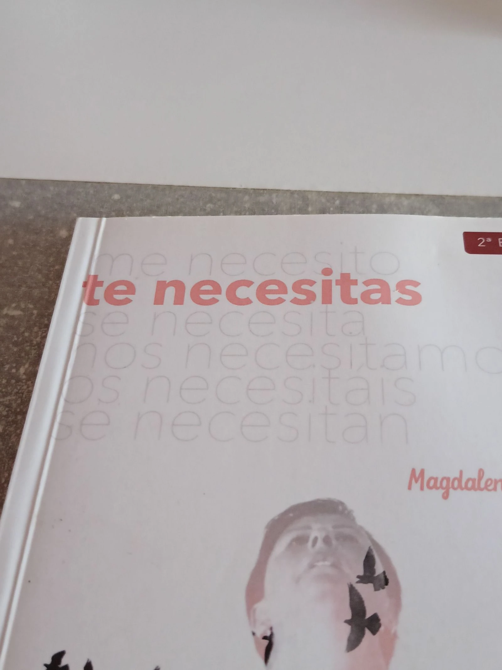 Je hebt je nodig, magdalena S blesa 2021 – photo 2